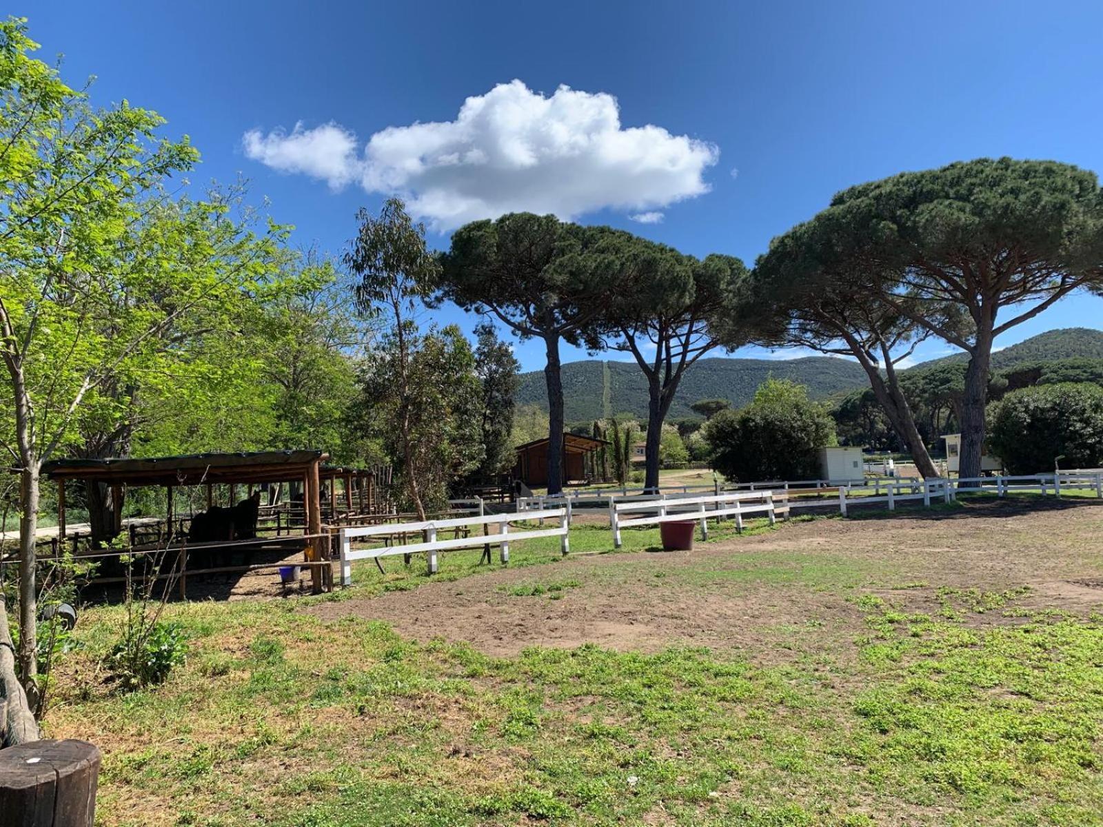 La Casa Delle Stelle Tirli Exterior foto